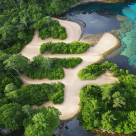 字画幻术图|APP下载AIAPP