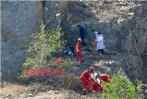 5口之家爬野山被AI坑惨 男子失足滑落差点有去无回