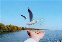 阿里千问开始蹬鼻子上脸了