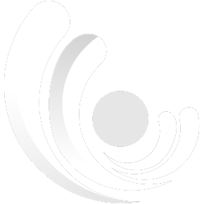 ImageColorizerAi工具软件下载